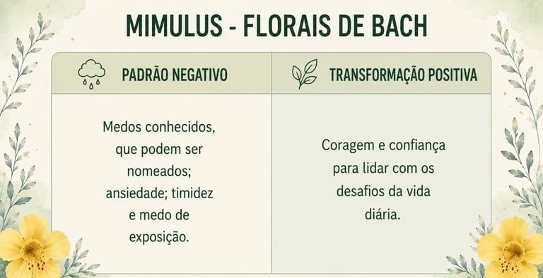 Sintomas de quem precisa do floral Mimulus e a transformação positiva que ele promove