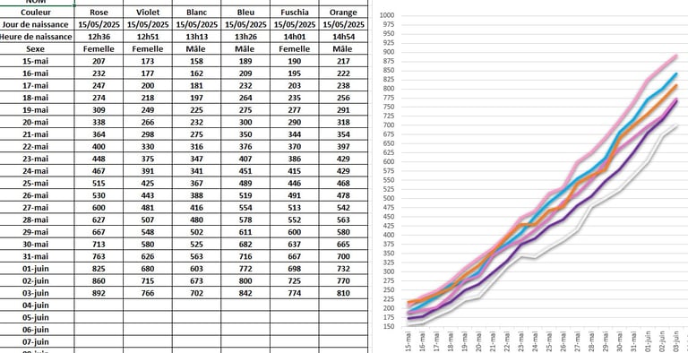 Poids et courbes de croissance chiots Schnauzers nains