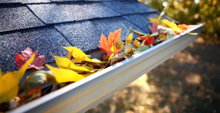 Gutter Cleaning In San Antonio
