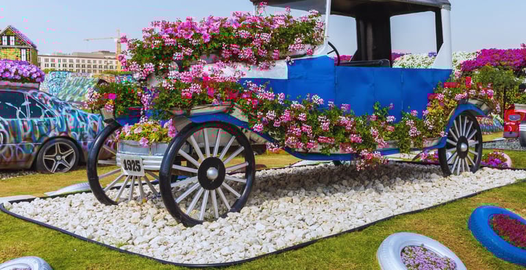 foto de uma charrete cheia de flores no dubai miracle garden 