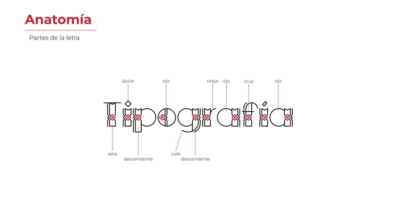 Partes de la letra inspirada en la iconografía de la Comunidad Yine
