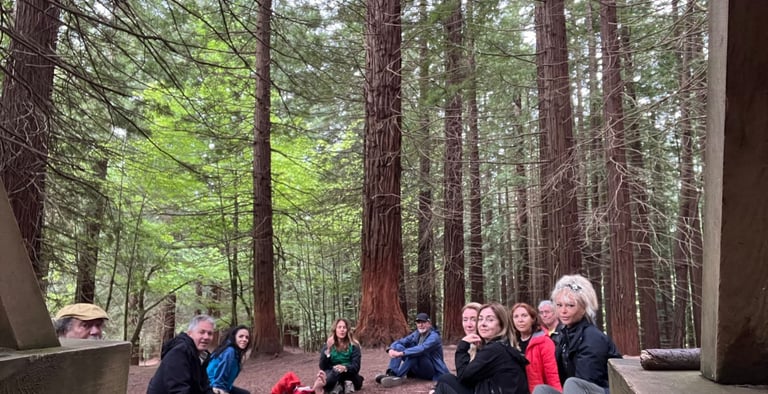 Proyecto Despierta, porque tu libertad está tras despertar..