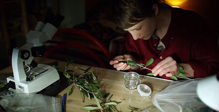 semina il vento Federica Bologna