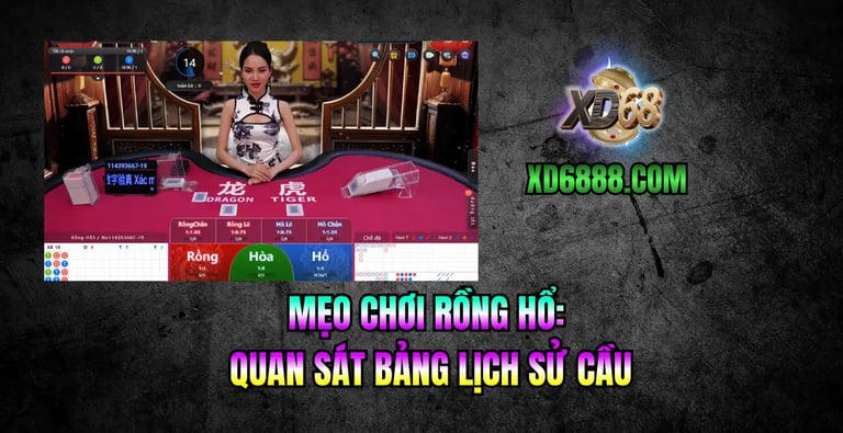 Kinh nghiệm soi cầu và mẹo chơi rồng hổ tại xd68