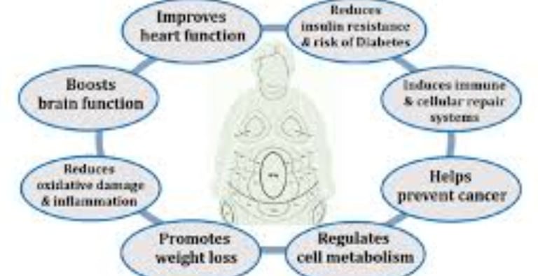 fasting effrct