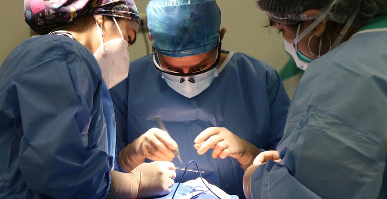 Clinical Training and Facilities in Georgian university