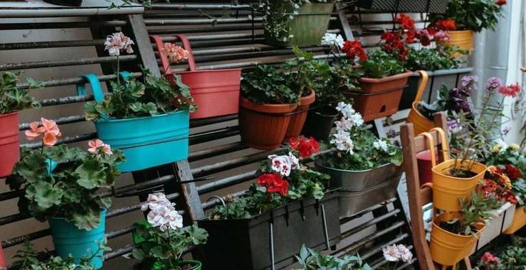 Vertical plant stand. Budget-friendly gardening