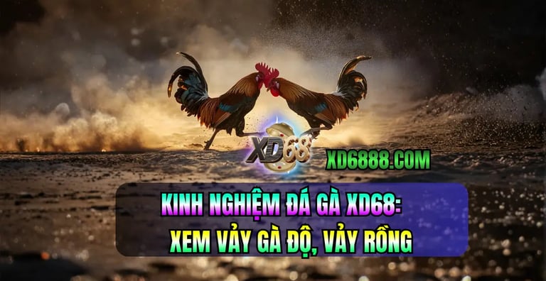 Kinh nghiệm đá gà xd68 dựa vào xem vảy gà chọi