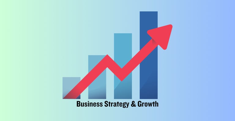 Business Strategy and Growth