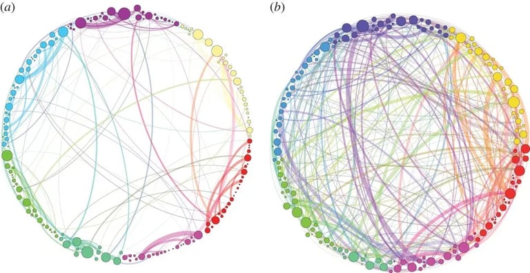 Comparaison des connectivités cérébrales sous placebo (a) et sous psilocybine (b) 