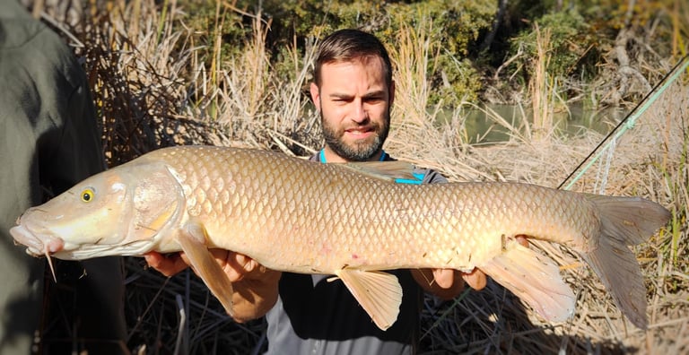 a man holding a fish barbel fish