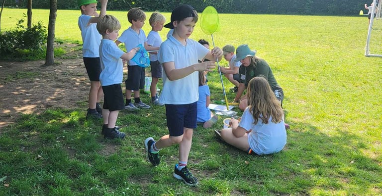 a group of children playing with bug nets