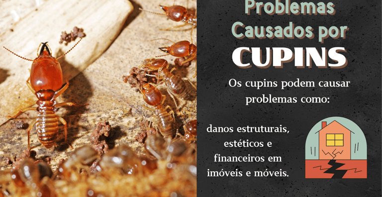 painel sobre cupins