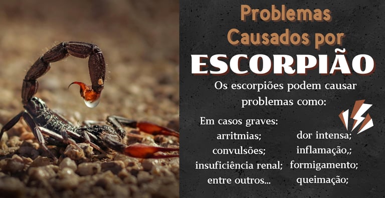 controle de pragas contra escorpiões