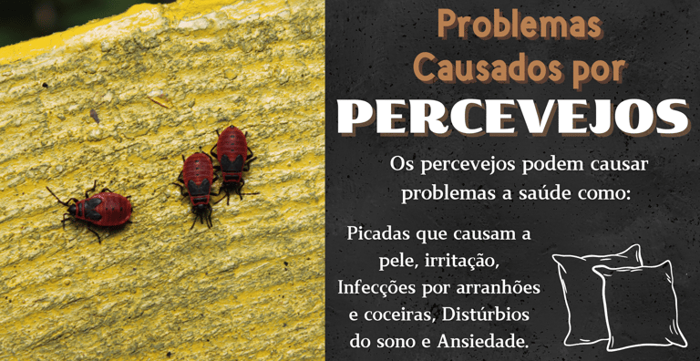 percevejo