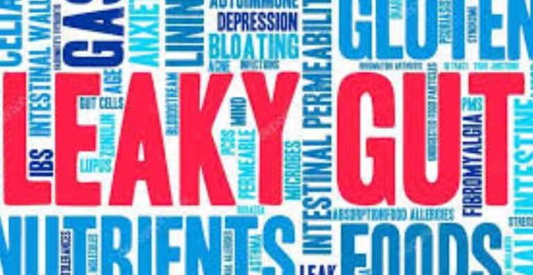 Leaky Gut Syndrome life style modification