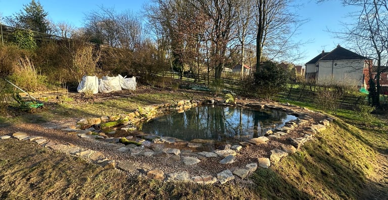 wildlife-pond-build-barton