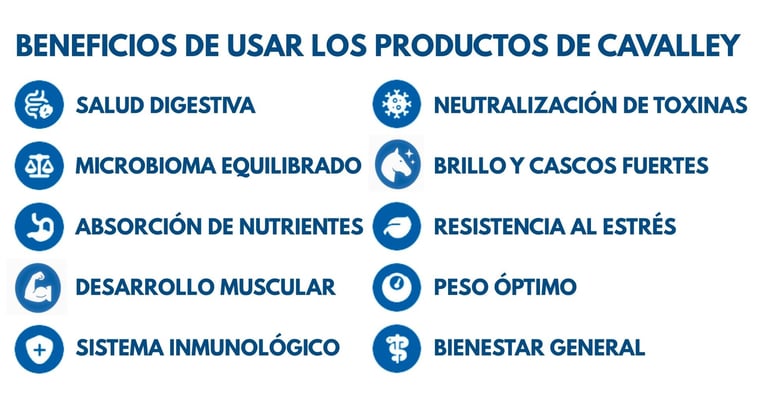 Beneficios de usar los Productos para caballos de CAVALLEY