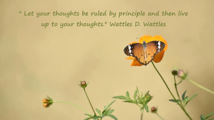 personal value system