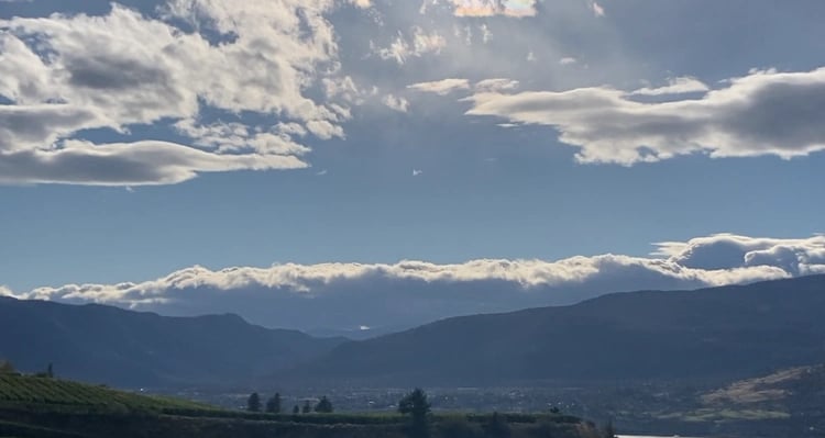 Data analysis and research notes used for storytelling and insight