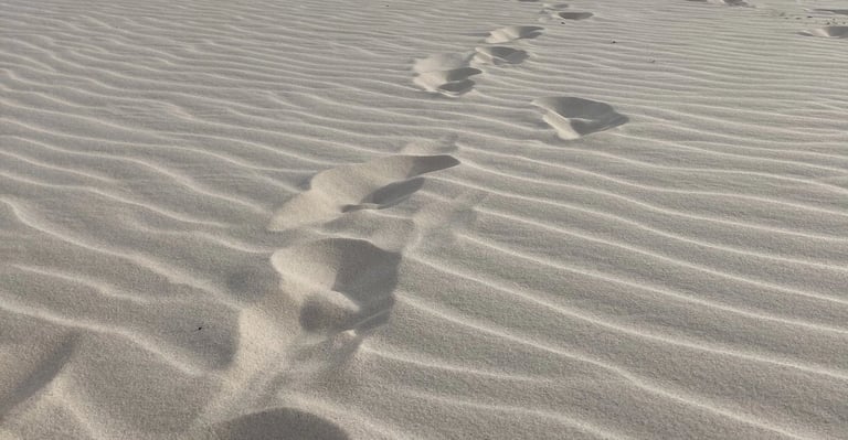 Technical Communicator and Data Storyteller professional portrait