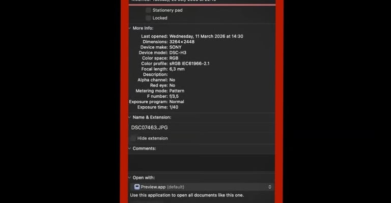  Photographs and information, Zainab Abdulkarim - Zainab Ali Art