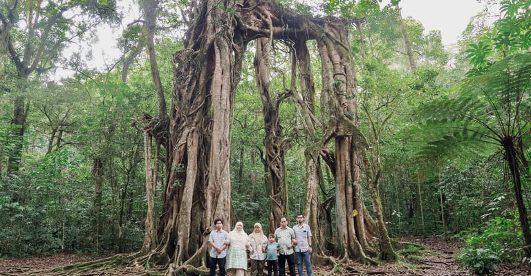 Iqbal family portrait beneath a giant tree at Botanical Garden Bedugul Bali.