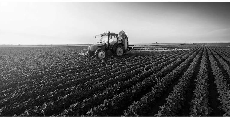 Derecho Agropecuario, Sanidad, Inocuidad, MVZ, Consultoría Legal, Firma De Abogado, Legal