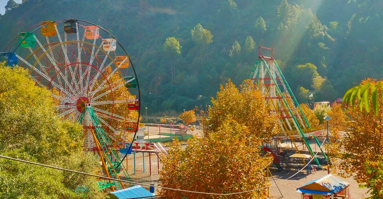 a ferris wheel in harnoi park with a ferris wheel