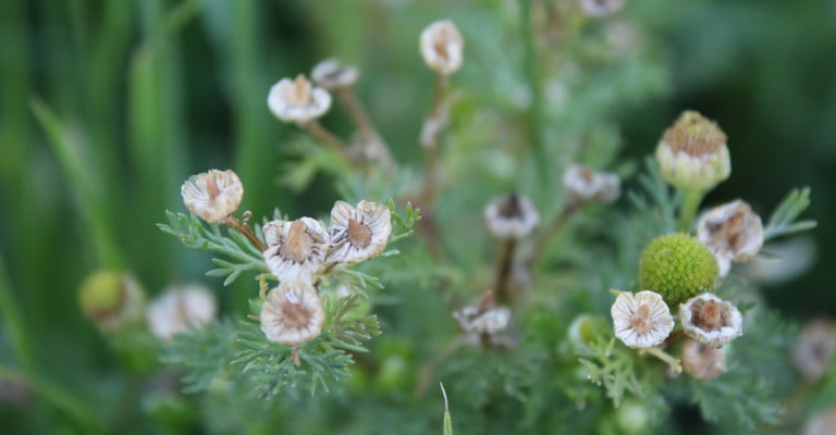 Le massage au bol Kansu évacue le stress et apporte une profonde détente 