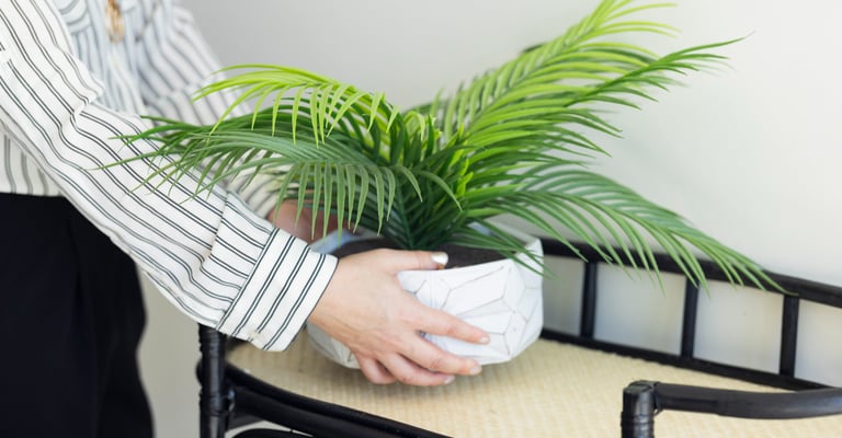 Decorator Staging a Shelf