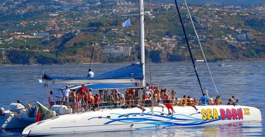Dolphins by Sea Born catamaran near Hotel Orca Praia, Funchal, Madeira.