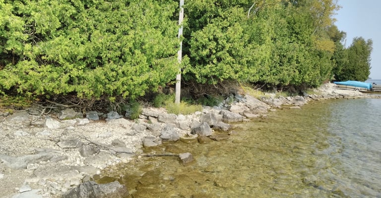 A rocky shoreline area that may be reviewed as part of a Natural Heritage Evaluation.