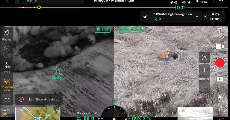 Termovizinis dronas naudojamas dingusios katės paieškai anksti ryte