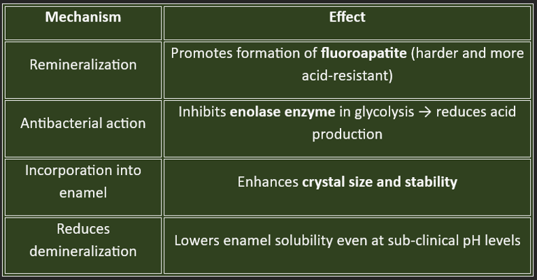 Floride-role-dental caries