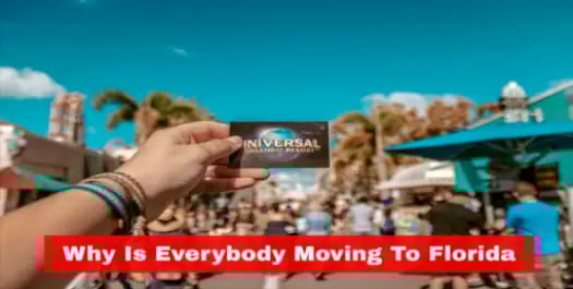 moving-to-florida