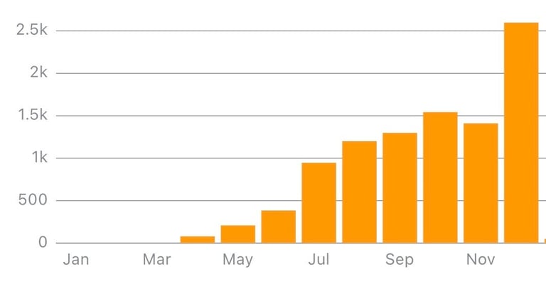 Consistent sales growth on Amazon