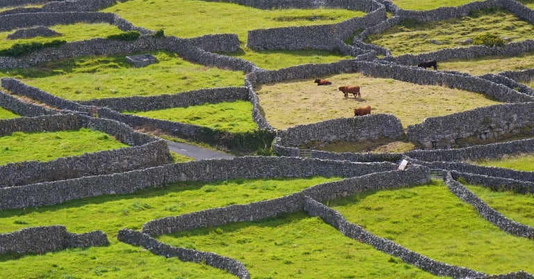 Voyage en Irlande