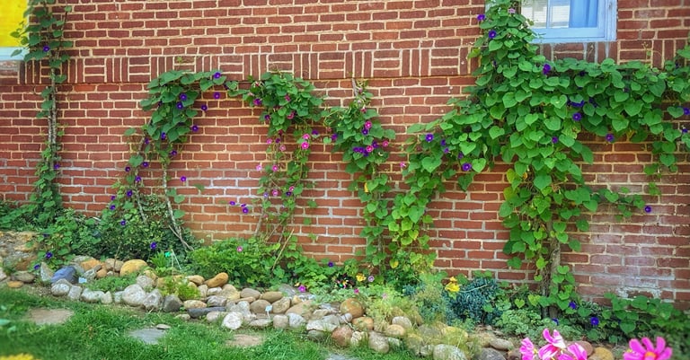Virginia love sign made of vines 2123 Rivermont