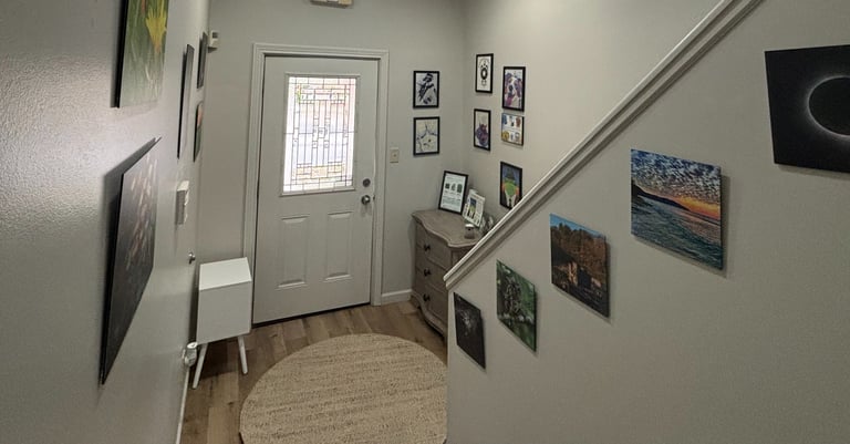 Artist Lauren Connelly presents Wild Developments Studio