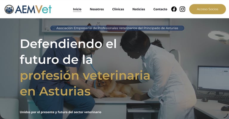 Veterinary professionals in Asturias examining a dog, representing the AEMVet veterinary association website.