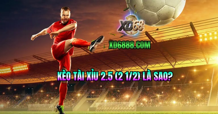Giải thích kèo tài xỉu 2.5 là sao và cách đọc kèo tài xỉu