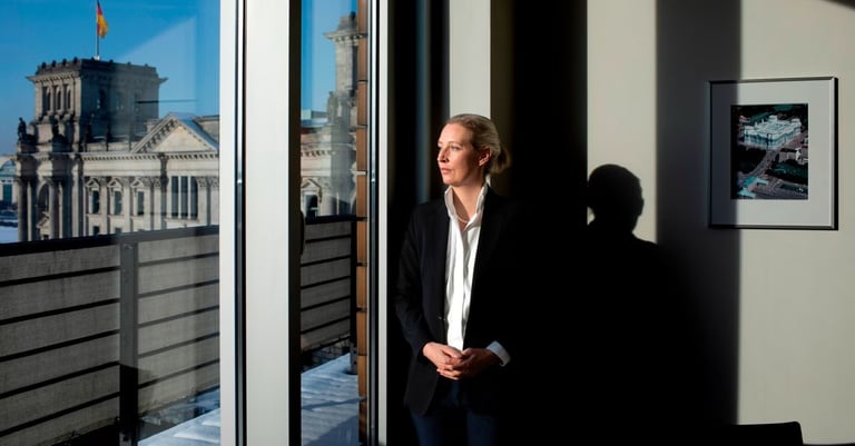Le leader allemand d’extrême droite salue le Brexit comme un « modèle pour l’Allemagne »