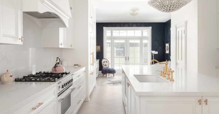 A modern central walk-way galley kitchen in Parkdale/West Queen West