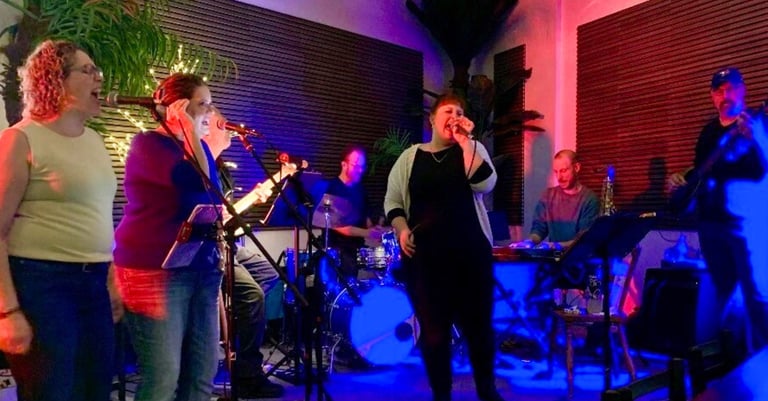 Birds of a feather band performing on stage