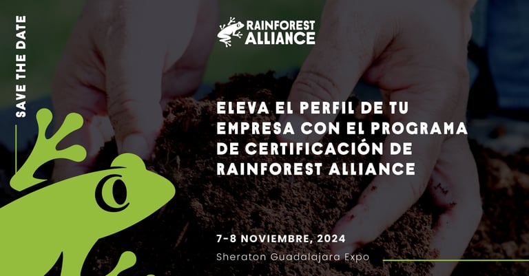 Rainforest Alliance 