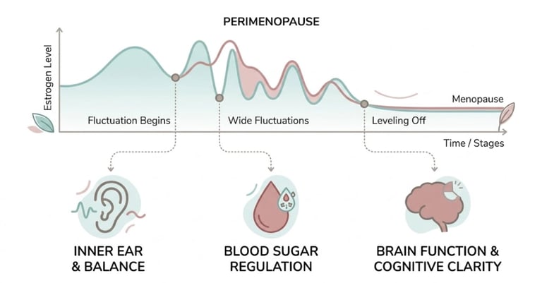 Perimenopause Dizziness: Causes, Triggers & Solutions