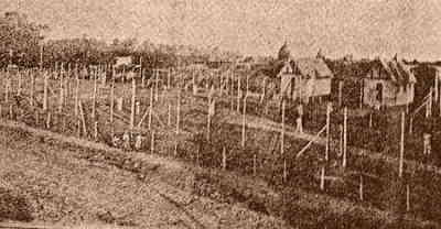 Temperley Lawn Tennis Club (1922)