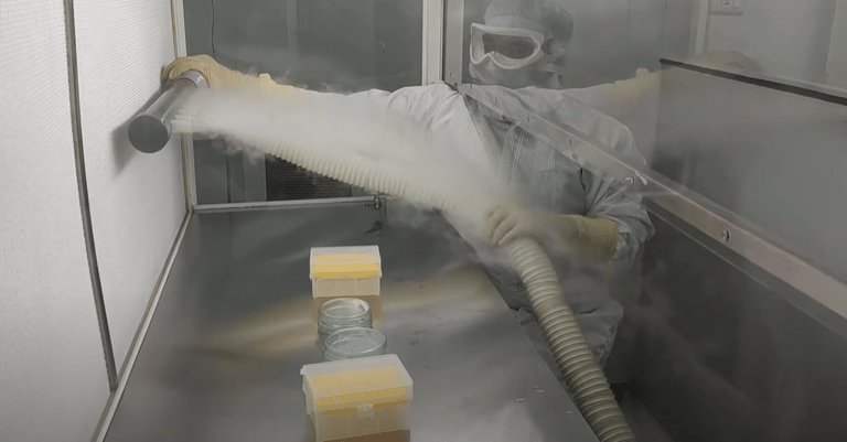 laminar flow hood smoke test