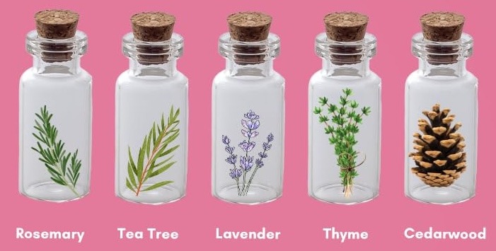 a collection of bottles of essential oils